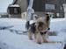 Erzgebirge-01-14 021