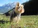 Zugspitzarena 2014 034