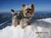 Zugspitzarena 2014 080