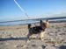 Weihnachten 2014-Nordsee 041