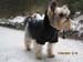 Hahnenklee-02-15 048