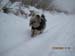 Hahnenklee-02-15 058