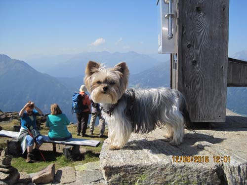 Pitztal 2016 006