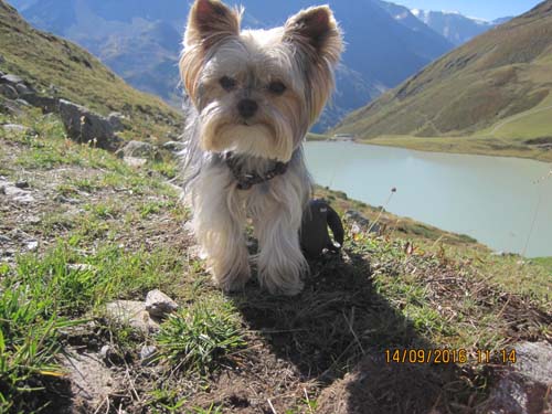 Pitztal 2016 081