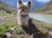 Pitztal 2016 081