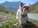 Pitztal 2016 082