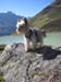 Pitztal 2016 083