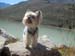 Pitztal 2016 091