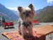 Pitztal 2016 129