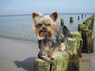 Glowe-04-13 136